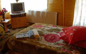 Pension Bran Ioana& Spa